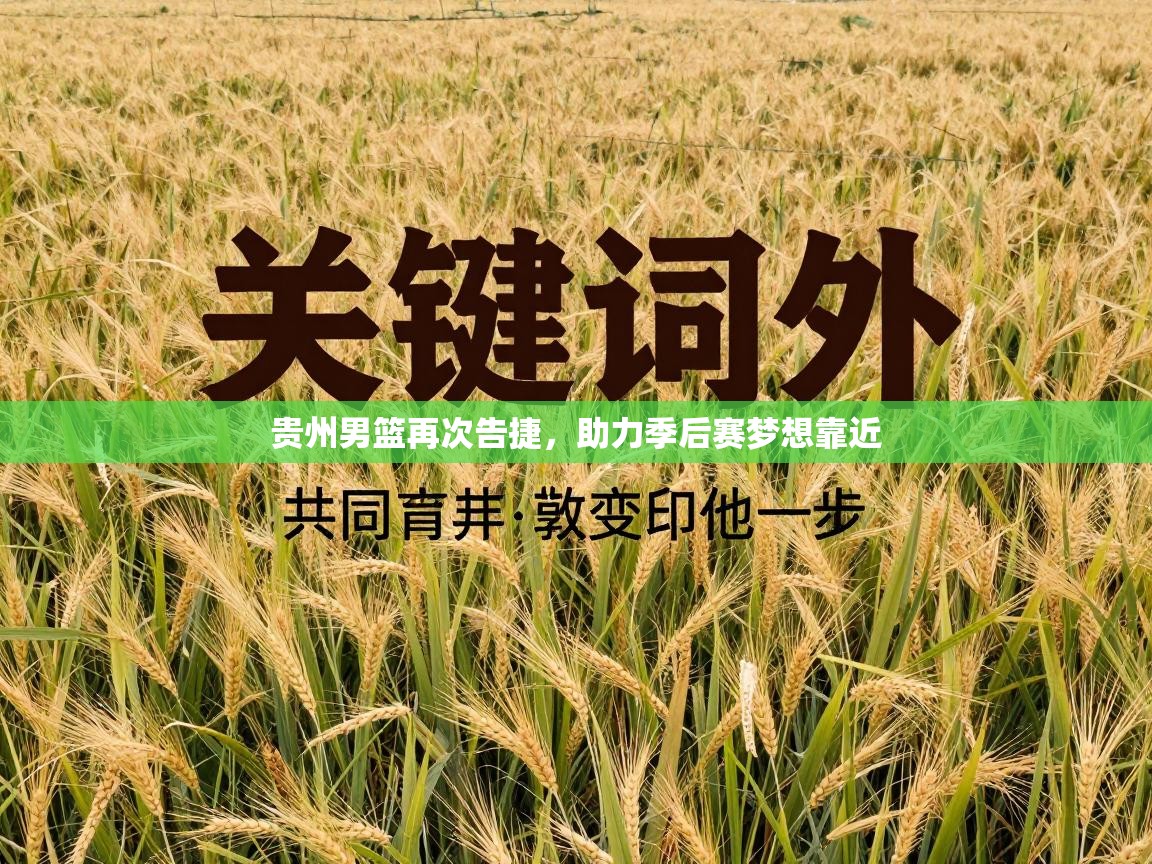 贵州男篮再次告捷，助力季后赛梦想靠近  第2张