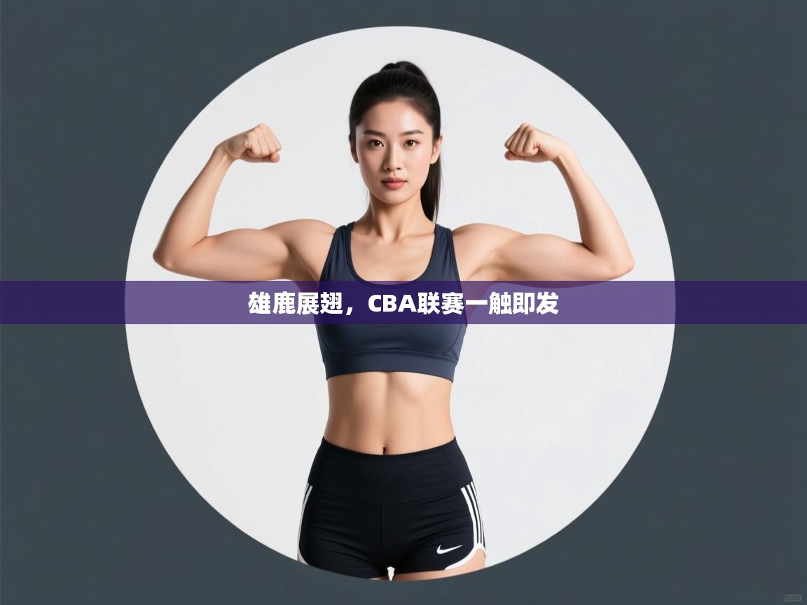 雄鹿展翅,CBA联赛一触即发 第1张