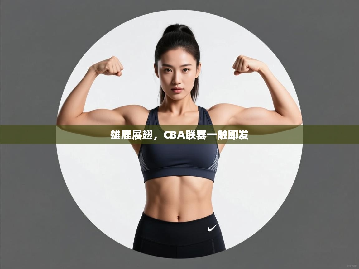 雄鹿展翅,CBA联赛一触即发 第2张